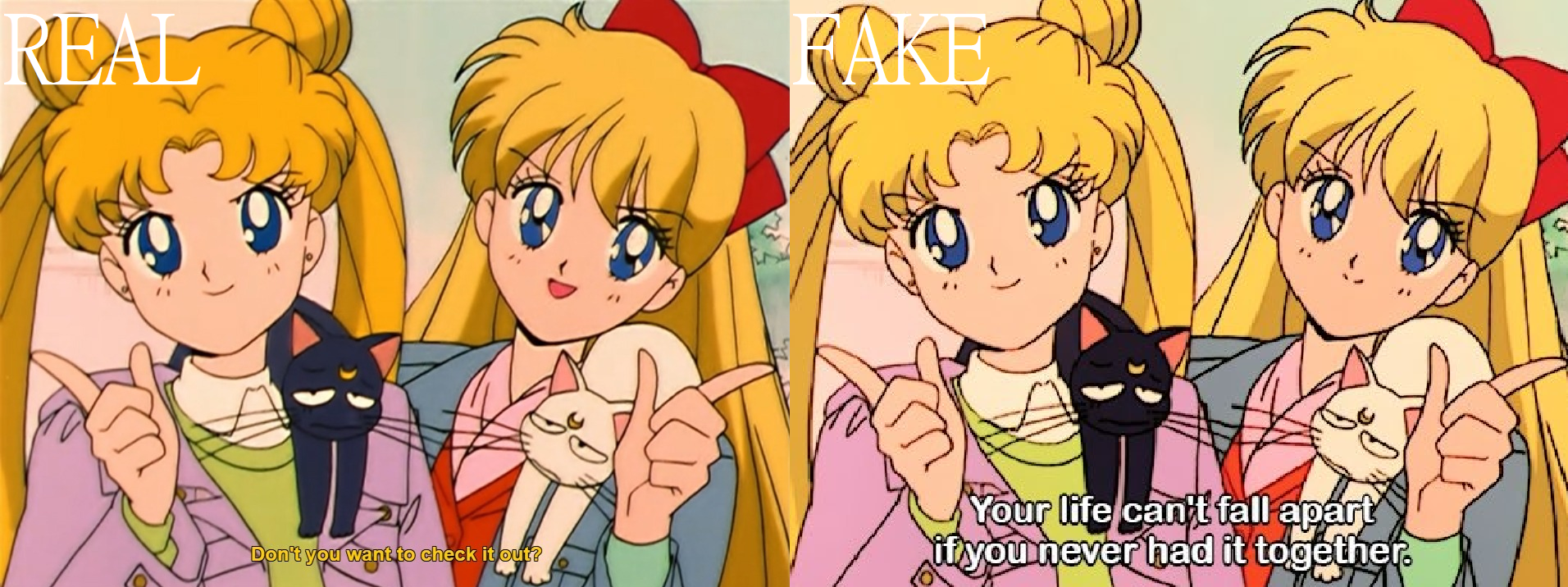 A side by side comparison of a real Sailor Moon screenshot, in which the subtitles read 'Don't you want to check it out?' and a fake version reading 'Your life can't fall apart if you never had it together'