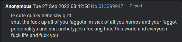 Post from /v/ 'le cute quirky hehe shy girtl shut the fuck up all of you faggots im sick of all you homos and your faggot personalitys and shit archetypes i fucking hate this world and everyoen fuck life and fuck you'