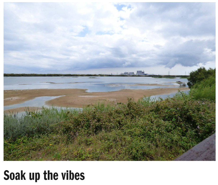 A bleak beach with scraggly foliage and a nuclear power plant in the distance. The title reads 'soak up the vibes'