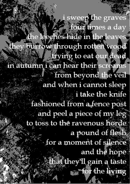 i sweep the graves
four times a day
the leeches hide in the leaves
they burrow through rotten wood
trying to eat our dead 
in autumn i can hear their screams
from beyond the veil
and when i cannot sleep
i take the knife 
fashioned from a fence post
and peel a piece of my leg
to toss to the ravenous horde
a pound of flesh 
for a moment of silence
and the hope 
that they'll gain a taste 
for the living