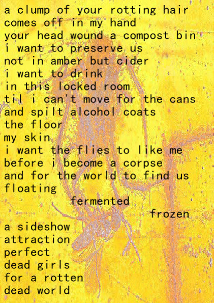 a clump of your rotting hair comes off in my hand
your head wound a compost bin
i want to preserve us
not in amber but cider
i want to drink
in this locked room
til i cant move for the cans
and spilt alcohol coats
the floor
my skin
i want the flies to like me
before i become a corpse 
and for the world to find us
floating 
fermented
frozen
a sideshow
attraction
perfect
dead girls
for a rotten
dead world