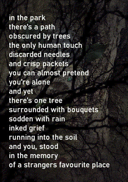 in the park
there's a path
obscured by trees
the only human touch
discarded needles
and crisp packets
you can almost pretend 
you're alone
and yet
there's one tree
surrounded with bouquets
sodden with rain
inked grief 
running into the soil 
and you, stood
in the memory
of a strangers favourite place