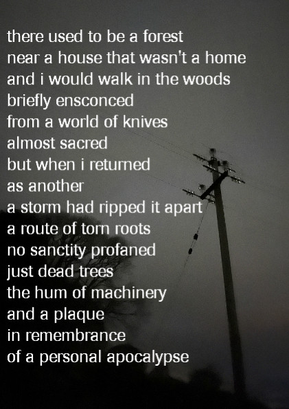 there used to be a forest
near a house that wasn't a home 
and i would walk in the woods 
briefly ensconced
from a world of knives
almost sacred
but when i returned
as another
a storm had ripped it apart
a route of torn roots
no sanctity profaned
just dead trees
the hum of machinery
and a plaque
in remembrance
of a personal apocalypse